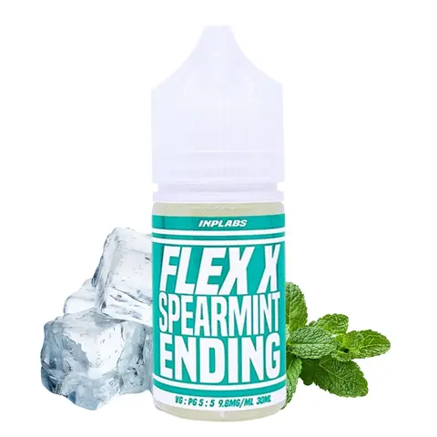 플렉스 스피아민트엔딩 이미지